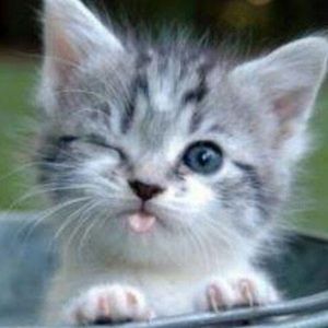 Meet your Posher, Alexandra